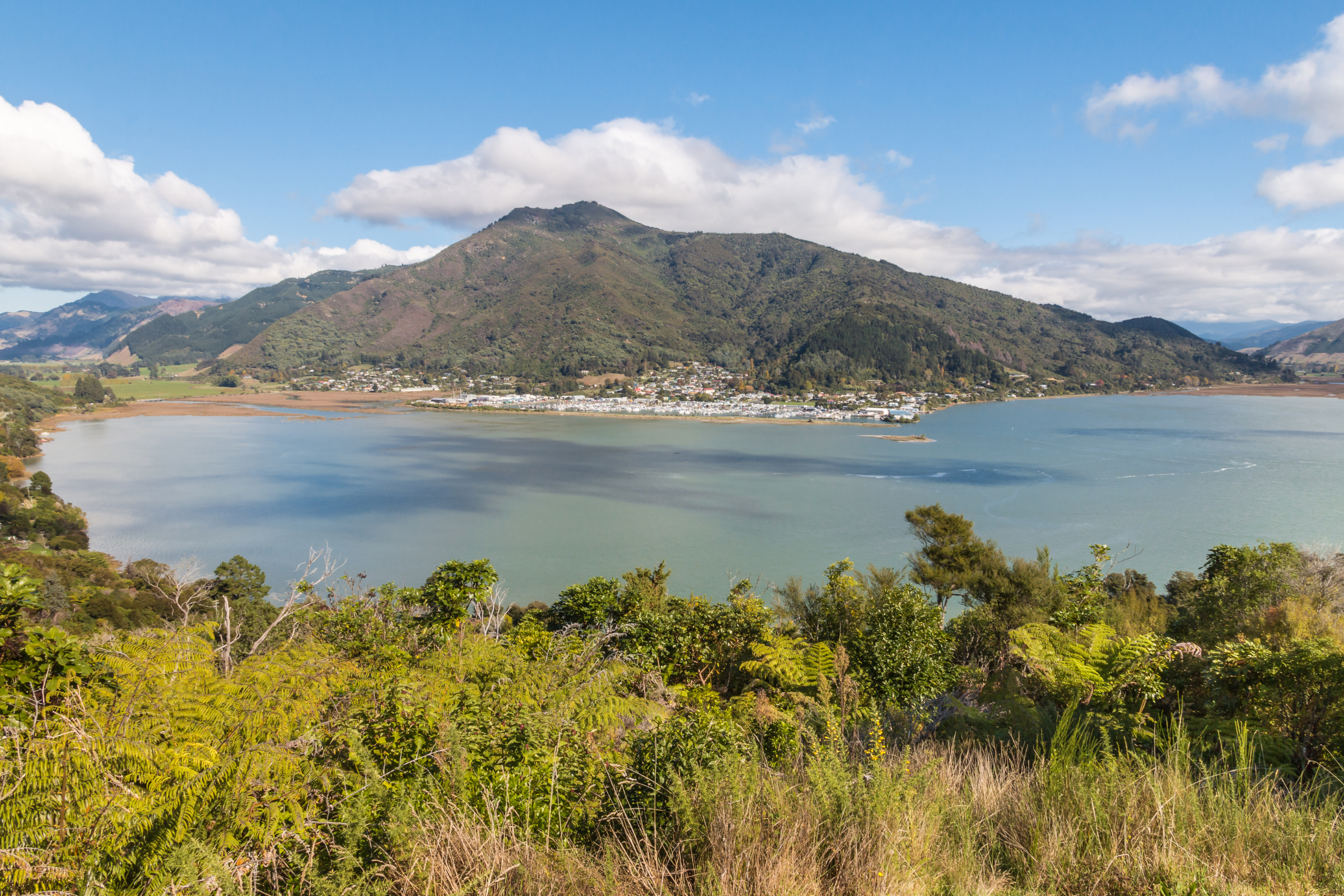 pelorus sound.webp